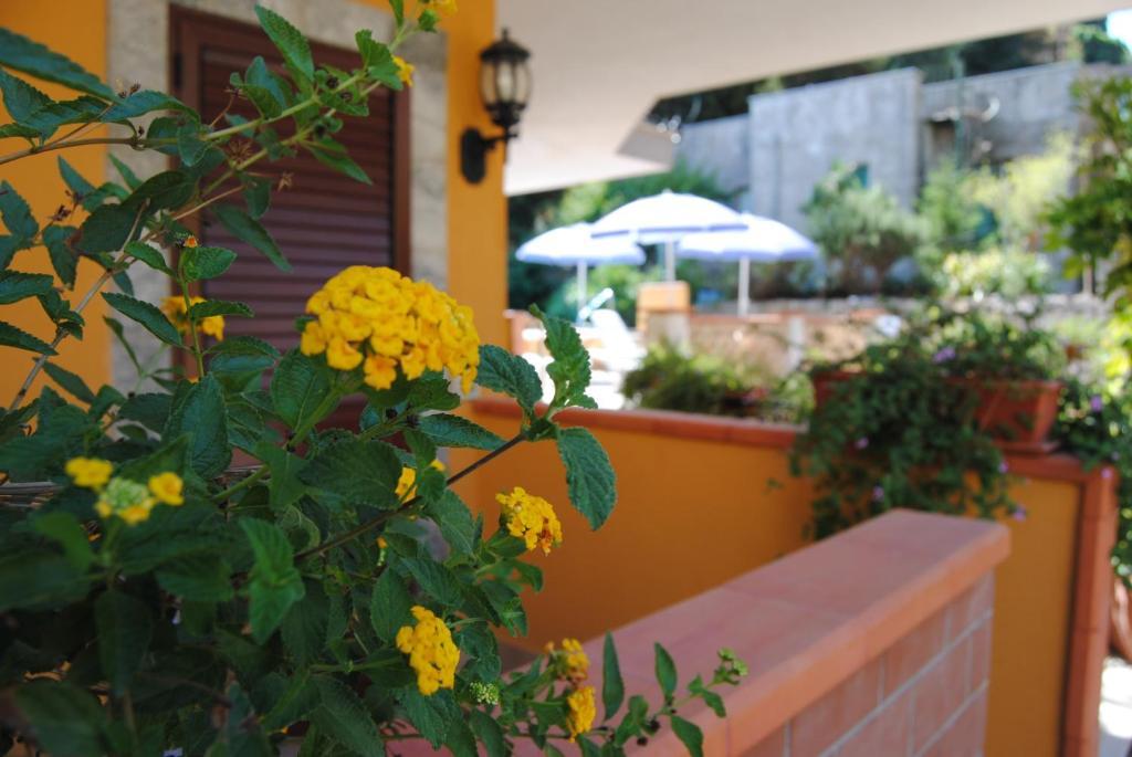 Il Glicine Lejlighedshotel 3*